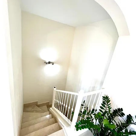 Elegant Mar * 滨海帕尔姆