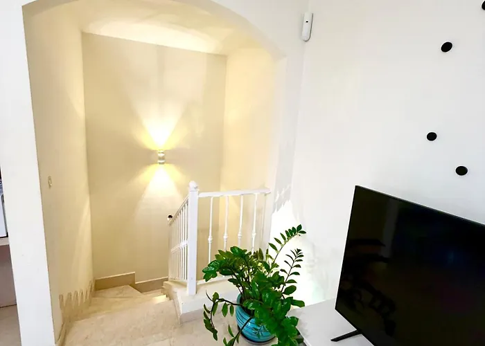 Elegant Mar Palm-mar